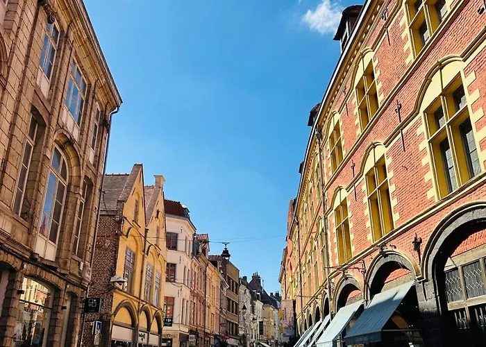 Daire L Esprit Du Vieux Lille